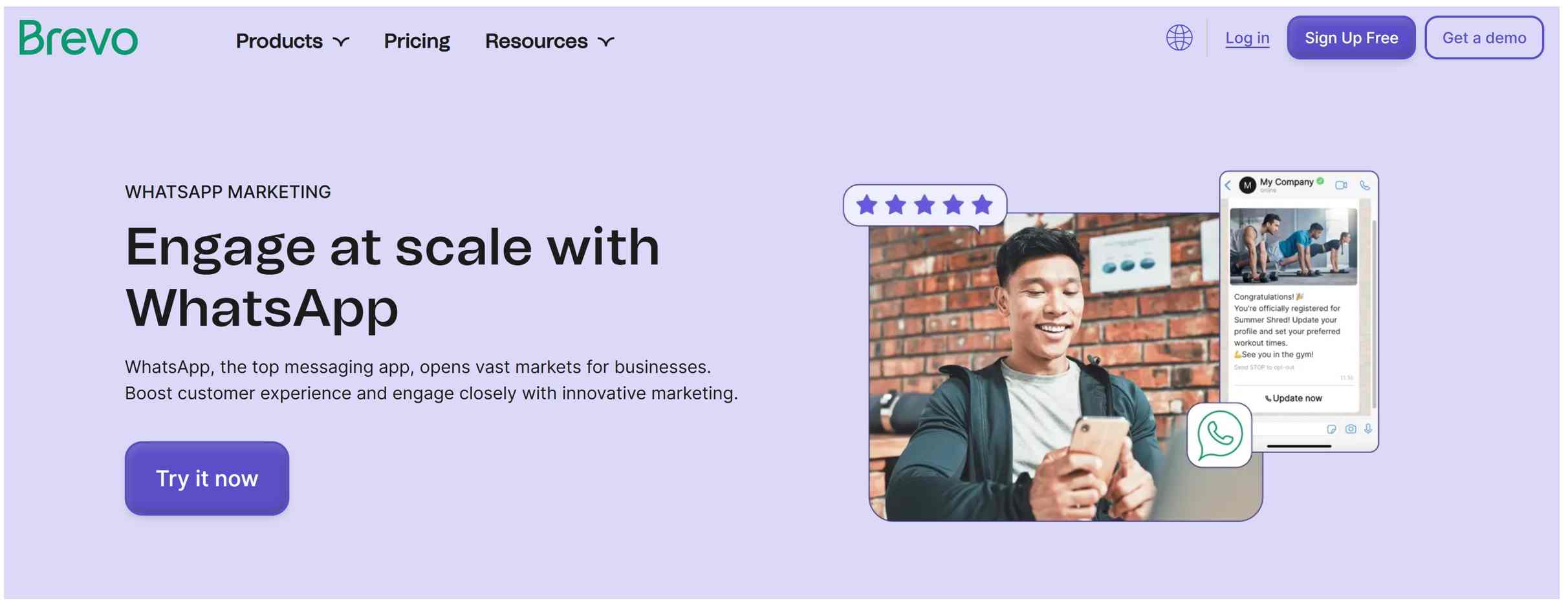 Brevo marketing platform — email, SMS, and automation dashboard