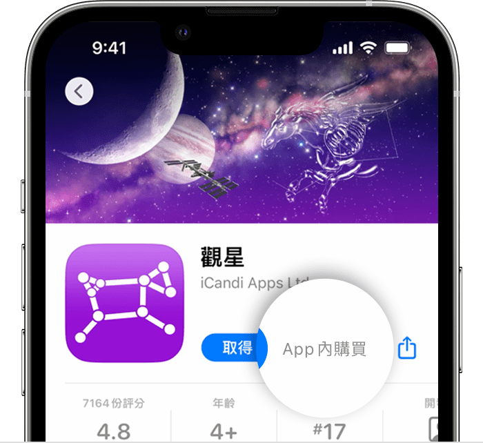 Apple Store 付費應用程式